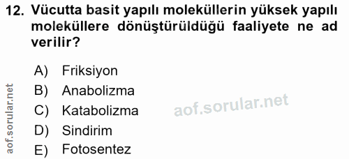 12. soru: Vücutta basit yapılı moleküllerin yüksek yapılı moleküllere dönüştürüldüğü faaliyete ne ad verilir? A) Friksiyon B) A…
