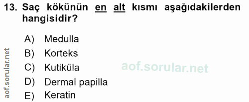 13. soru: Saç kökünün en alt kısmı aşağıdakilerden hangisidir? A) Medulla B) Korteks C) Kutiküla D) Dermal papilla E) Keratin