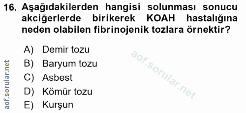 16. soru: Aşağıdakilerden hangisi solunması sonucu akciğerlerde birikerek KOAH hastalığına neden olabilen fibrinojenik tozlara…