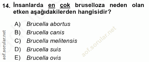 14. soru: Insanlarda en çok bruselloza neden olan etken aşağıdakilerden hangisidir? A) Brucella abortus B) Brucella canis C) Br…