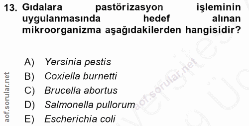 13. soru: Gidalara pastörizasyon işleminin uygulanmasında hedef alınan mikroorganizma aşağıdakilerden hangisidir? A) Yersinia p…