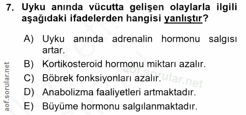 7. soru: Uyku anında vücutta gelişen olaylarla ilgili aşağıdaki ifadelerden hangisi yanlıştır? A) Uyku anında adrenalin hormon…