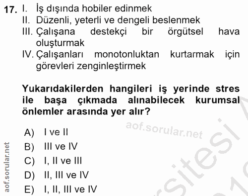 17. soru: I. Iş dışında hobiler edinmek II. Düzenli, yeterli ve dengeli beslenmek III. Çalışana destekçi bir Örgutsel hava oluş…