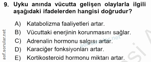 9. soru: Uyku anında vücutta gelişen olaylarla ilgili aşağıdaki ifadelerden hangisi doğrudur? A) Katabolizma faaliyetleri arta…