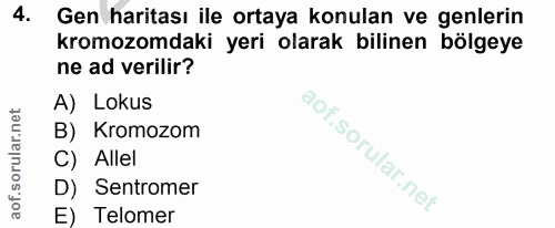4. soru: Gen haritası ile ortaya konulan ve genlerin kromozomdaki yeri olarak bilinen bölgeye ne ad verilir? A) Lokus B) Kromo…