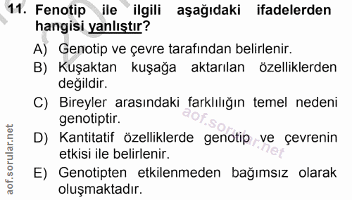 11. soru: Fenotip ile ilgili aşağıdaki ifadelerden hangisi yanlıştır? A) Genotip ve çevre tarafından belirlenir. B) Kuşaktan ku…