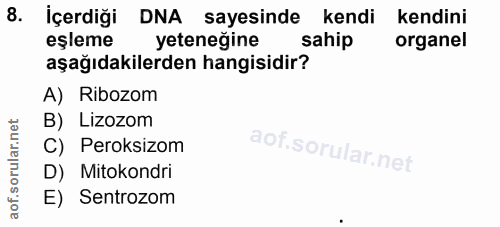 8. soru: İçerdiği DNA sayesinde kendi kendini eşleme yeteneğine sahip organel aşağıdakilerden hangisidir? A) Ribozom B) Lizozo…