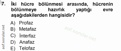 7. soru: İki hücre bölünmesi arasında, hücrenin bölünmeye hazırlık yaptığı evre aşağıdakilerden hangisidir? A) Profaz B) Metaf…