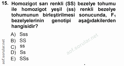 15. soru: Homozigot sarı renkli (SS) bezelye tohumu ile homozigot yeşil (ss) renkli bezelye tohumunun birleştirilmesi sonucunda…