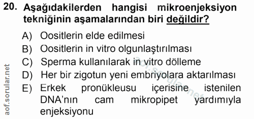 20. soru: Aşağıdakilerden hangisi mikroenjeksiyon tekniğinin aşamalarından biri değildir? A) Oositlerin elde edilmesi B) Oositl…