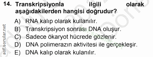 14. soru: Transkripsiyonla ilgili olarak aşağıdakilerden hangisi doğrudur? A) RNA kalıp olarak kullanılır. B) Transkripsiyon so…