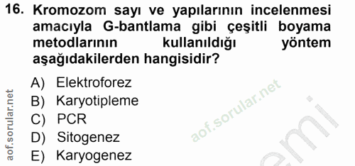 16. soru: Kromozom sayı ve yapılarının incelenmesi amacıyla G-bantlama gibi çeşitli boyama metodlarının kullanıldığı yöntem aşa…