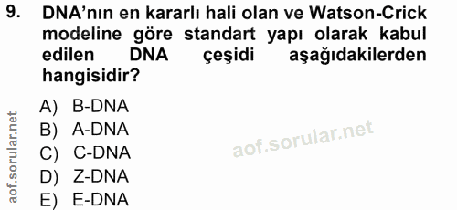 9. soru: DNA'nın en kararlı hali olan ve Watson-Crick modeline göre standart yapı olarak kabul edilen DNA çeşidi aşağıdakilerd…