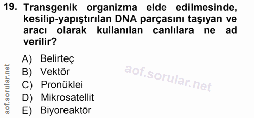 19. soru: Transgenik organizma elde edilmesinde, kesilip-yapıştırılan DNA parçasını taşıyan ve aracı olarak kullanılan canlılar…