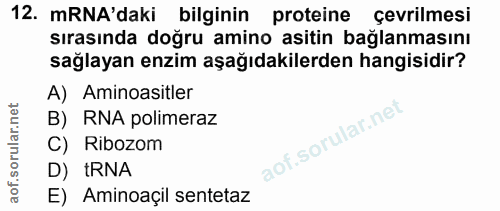 12. soru: mRNA'daki bilginin proteine çevrilmesi sırasında doğru amino asitin bağlanmasını sağlayan enzim aşağıdakilerden hangi…