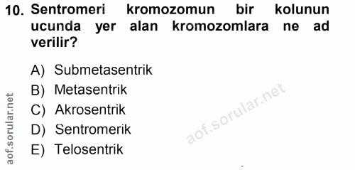10. soru: Sentromeri kromozomun bir kolunun ucunda yer alan kromozomlara ne ad verilir? A) Submetasentrik B) Metasentrik corill…