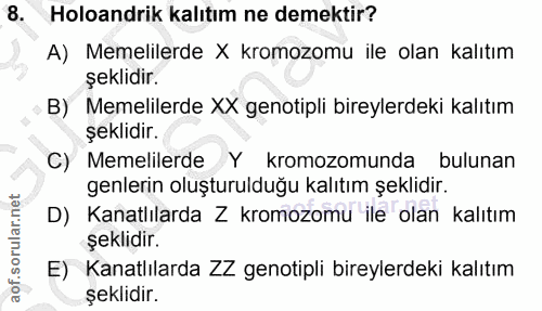 8. soru: Holoandrik kalıtım ne demektir? A) Memelilerde X kromozomu ile olan kalıtım şeklidir. B) Memelilerde XX genotipli bir…