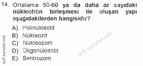 14. soru: Ortalama 50-60 ya da daha az sayıdaki nükleotitin birleşmesi ile oluşan yapı aşağıdakilerden hangisidir? A) Polinükle…