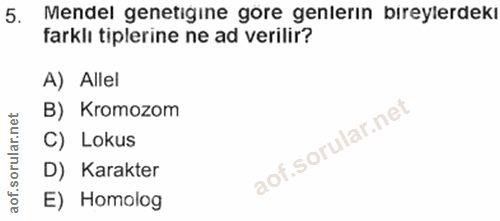 5. soru: Mendel genetigine göre genlerın bireylerdekı farklı tiplerine ne ad verilir? A) Allel B) Kromozom C) Lokus D) Karakte…