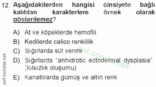 12. soru: Aşağıdakilerden hangisi cinsiyete bağlı kalıtılan karakterlere örnek olarak gösterilemez? A) At ve köpeklerde hemofil…
