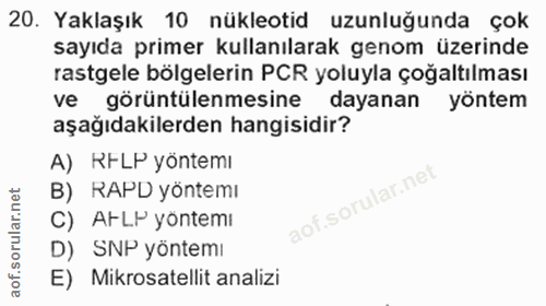20. soru: Yaklaşık 10 nükleotid uzunluğunda çok sayıda primer kullanılarak genom üzerinde rastgele bölgelerin PCR yoluyla çoğal…