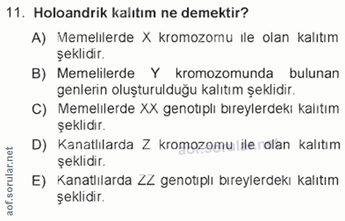 11. soru: Holoandrik kalıtım ne demektir? A) Memelilerde X kromozomu ile olan kalıtım şeklidir. B) Memelilerde Y kromozomunda b…