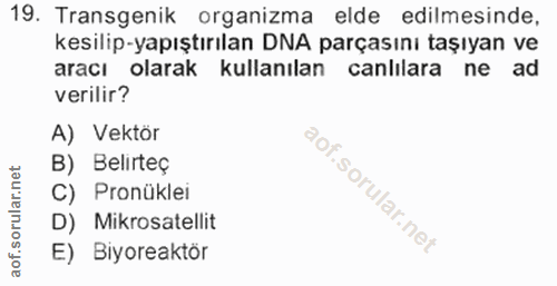 19. soru: Transgenik organizma elde edilmesinde, kesilip-yapıştırılan DNA parçasını taşıyan ve aracı olarak kullanılan canlilar…