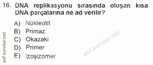 16. soru: DNA replikasyonu sırasında oluşan kısa DNA parçalarına ne ad verilir? A) Nükleotit ar.net B) Primaz C) Okazaki D) Pri…