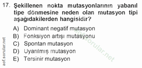 17. soru: Şekillenen nokta mutasyonlarının yabanıl tipe dönmesine neden olan mutasyon tipi aşağıdakilerden hangisidir? A) Domin…