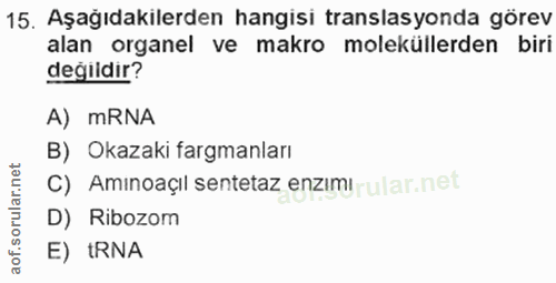 15. soru: Aşağıdakilerden hangisi translasyonda görev alan organel ve makro moleküllerden biri değildir? A) mRNA B) Okazaki far…