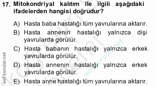 17. soru: Mitokondriyal kalıtım ile ilgili aşağıdaki ifadelerden hangisi doğrudur? A) Hasta baba hastalığı tüm yavrularına akta…