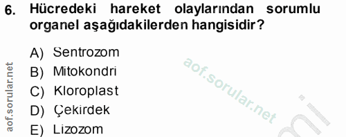 6. soru: Hücredeki hareket olaylarından sorumlu organel aşağıdakilerden hangisidir? A) Sentrozom B) Mitokondri C) Kloroplast D…