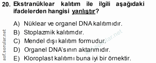 20. soru: Ekstranüklear kalıtım ile ilgili aşağıdaki ifadelerden hangisi yanlıştır? A) Nüklear ve organel DNA kalıtım ıdır. B)…