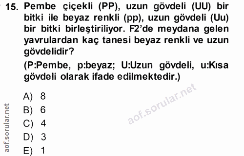 15. soru: Pembe çiçekli (PP), uzun gövdeli (UU) bir bitki ile beyaz renkli (pp), uzun gövdeli (Uu) bir bitki birleştiriliyor. F…