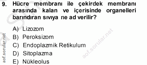 9. soru: Hücre membranı ile çekirdek membranı arasında kalan ve içerisinde organelleri barındıran sıvıya ne ad verilir? A) Liz…