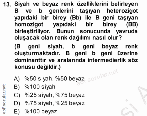 13. soru: Siyah ve beyaz renk özelliklerini belirleyen B ve b genlerini taşıyan heterozigot yapıdaki bir birey (Bb) ile B geni…