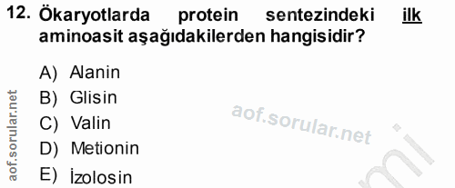 12. soru: Ökaryotlarda protein sentezindeki ilk aminoasit aşağıdakilerden hangisidir? A) Alanin B) Glisin C) Valin D) Metionin…