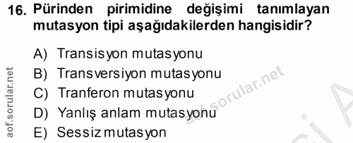 16. soru: Pürinden pirimidine değişimi tanımlayan mutasyon tipi aşağıdakilerden hangisidir? A) Transisyon mutasyonu B) Transver…
