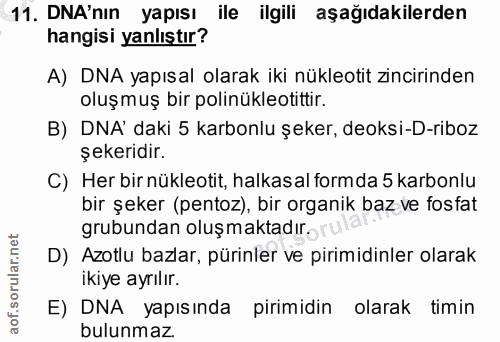 11. soru: DNA'nın yapısı ile ilgili aşağıdakilerden hangisi yanlıştır? A) DNA yapısal olarak iki nükleotit zincirinden oluşmuş…