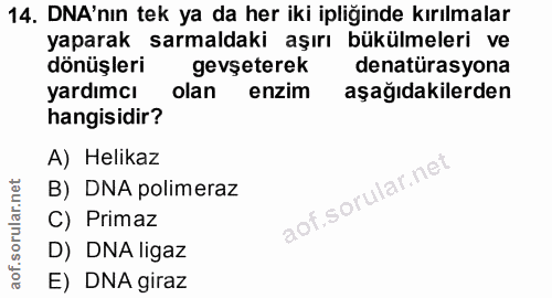 14. soru: DNA'nın tek ya da her iki ipliğinde kırılmalar yaparak sarmaldaki aşırı bükülmeleri ve dönüşleri gevseterek denatüras…
