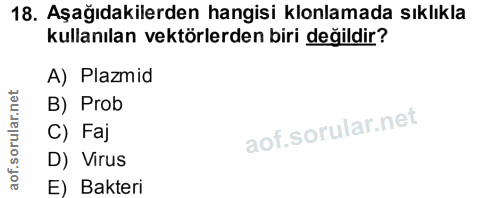 18. soru: Aşağıdakilerden hangisi klonlamada sıklıkla kullanılan vektörlerden biri değildir? A) Plazmid B) Prob C) Faj D) Virus…