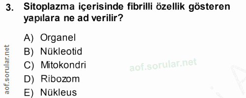 3. soru: Sitoplazma içerisinde fibrilli özellik gösteren yapılara ne ad verilir? A) Organel B) Nükleotid C) Mitokondri D) Ribo…