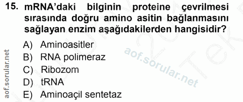 15. soru: mRNA'daki bilginin proteine çevrilmesi sırasında doğru amino asitin bağlanmasını sağlayan enzim aşağıdakilerden hangi…