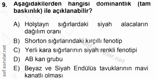 9. soru: Aşağıdakilerden hangisi dominantlık (tam baskınlık) ile açıklanabilir? A) Holştayn sığırlardaki siyah alacaların dağı…