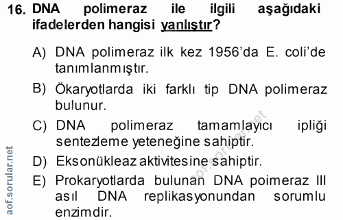 16. soru: DNA polimeraz ile ilgili aşağıdaki ifadelerden hangisi yanlıştır? A) DNA polimeraz ilk kez 1956'da E. coli'de tanımla…