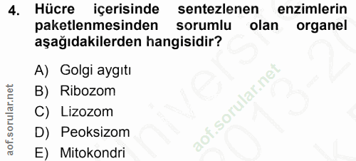4. soru: Hücre içerisinde sentezlenen enzimlerin paketlenmesinden sorumlu olan organel aşağıdakilerden hangisidir? A) Golgi ay…