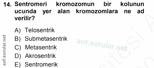 14. soru: Sentromeri kromozomun bir kolunun ucunda yer alan kromozomlara ne ad verilir? A) Telosentrik B) Submetasentrik C) Met…
