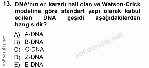 13. soru: DNA'nın en kararlı hali olan ve Watson-Crick modeline göre standart yapı olarak kabul edilen DNA çeşidi aşağıdakilerd…
