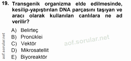 19. soru: Transgenik organizma elde edilmesinde, kesilip-yapıştırılan DNA parçasını taşıyan ve aracı olarak kullanılan canlılar…