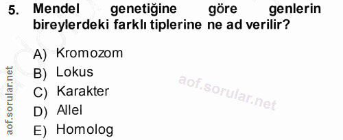 5. soru: Mendel genetiğine göre genlerin bireylerdeki farklı tiplerine ne ad verilir? A) Kromozom B) Lokus C) Karakter D) Alle…